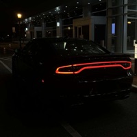 riss223