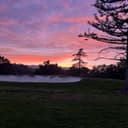 cinnamon toast crunch