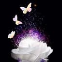 Galaxy Star