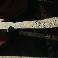 10 D 2Aadi Krishna t