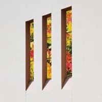 Adon Benjamin