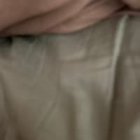 Pilot Brown