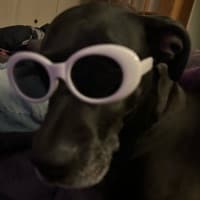 CoolioDude174