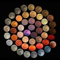 Mr. G 🍴🍽️🍴