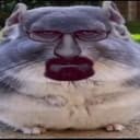 Dingus