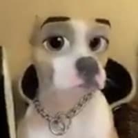 Jose