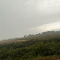 natureyearner