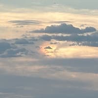 liz_270