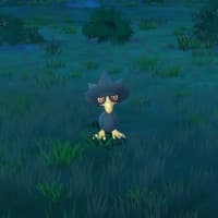 จิรพล ศรีสุข