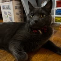 Cas
