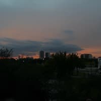 Sky Amelia