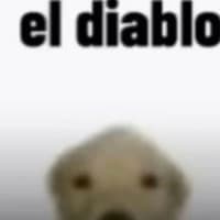 Nshot