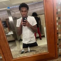 Dashaungunter